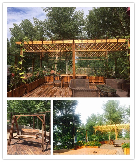 到菩提客，感受不一样的体验式团队建设！