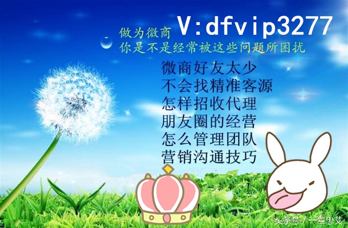 微商代理如何做推广,微商怎样做才能做得最好