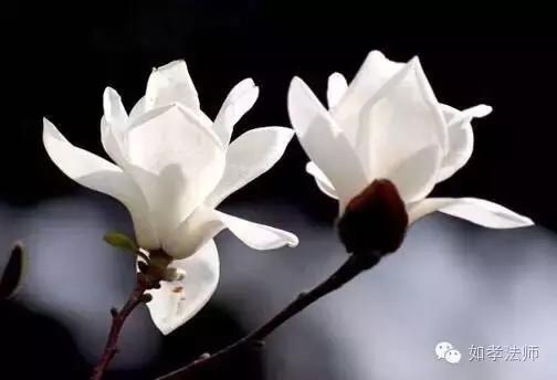 从根本上调理更直接更彻底,从根源解决情绪问题