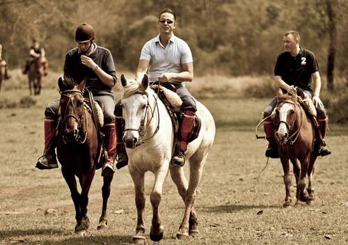 房地产陈先生,房地产发家的李嘉诚