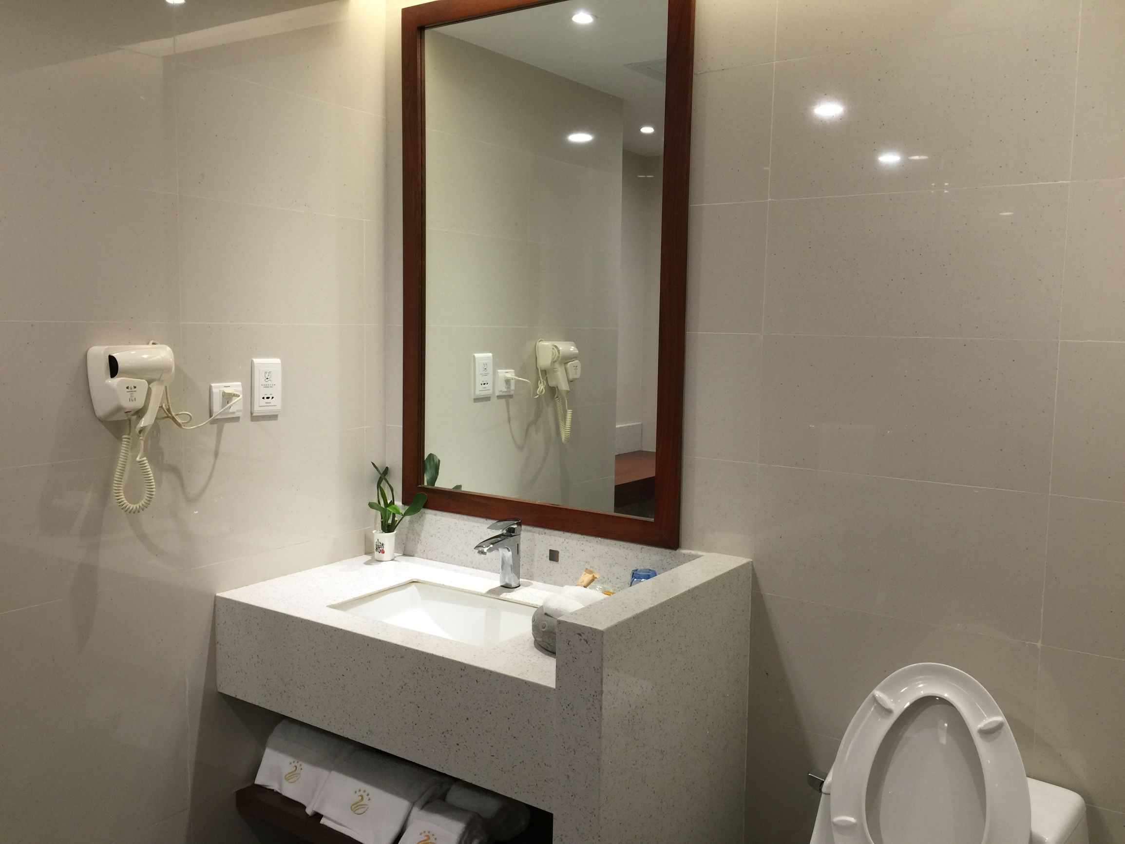 雷州樟树湾大酒店价格,雷州樟树湾大酒店有特大饭桌吗