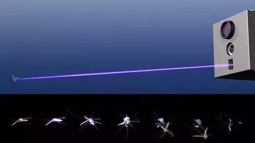 怎么样蚊子才能死,怎样才能干死蚊子