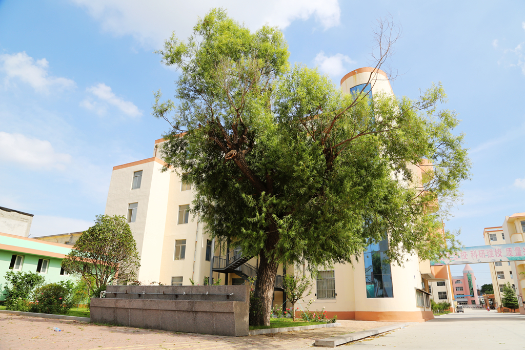 山东省威海市文登区七里中学介绍,威海市文登区七里中学转第二中学