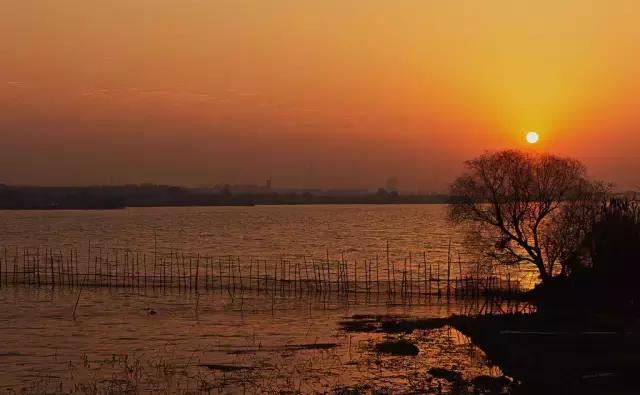 你只听过汉南,却不知道它的传奇!今年的汉南将高不可攀!