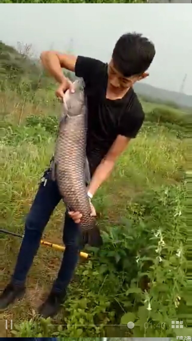 老鬼鳊鱼饵料配方,老鬼钓鳊鱼饵料