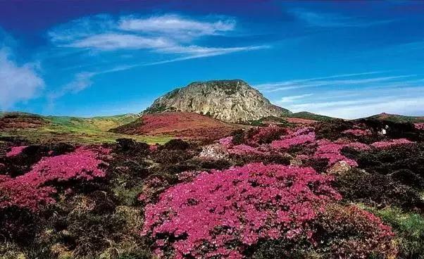 有钱随便旅游,有钱国外旅游