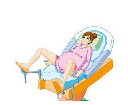 孕产知识怀孕新手爸妈必看,孕前知识100个