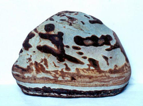 小石头也玩奥运？你别说还真的挺像那么回事