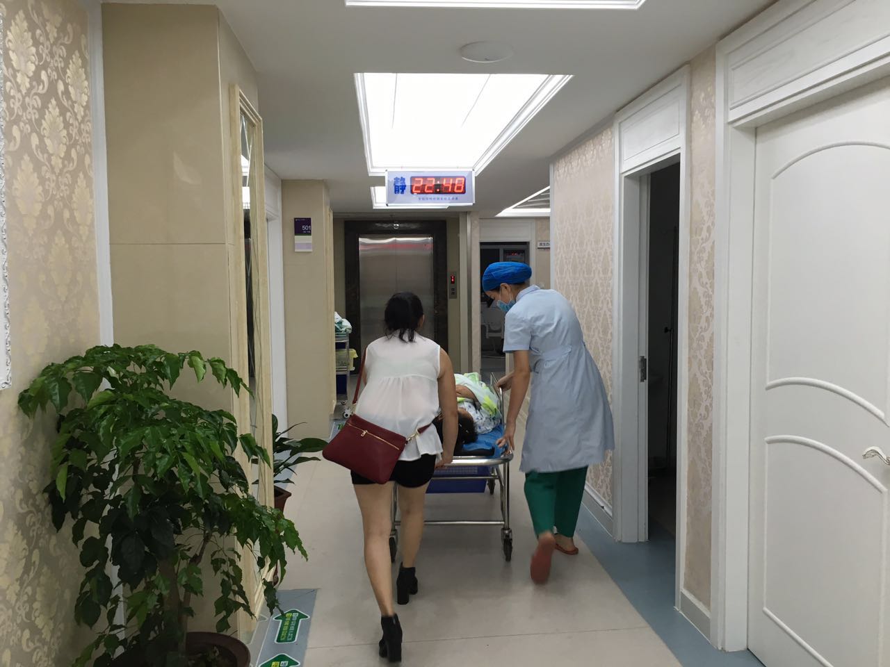 摄影大赛这个小东西救人治病无数，外国人却当做“奇葩”！（作品展示42期）