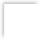 孔雀东南飞为什么是东南枝,孔雀东南飞为什么出名