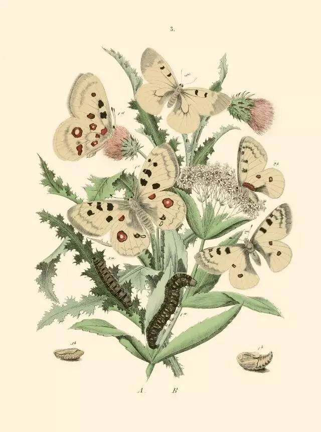 经典书籍易读易懂推荐书单,148本超长书单