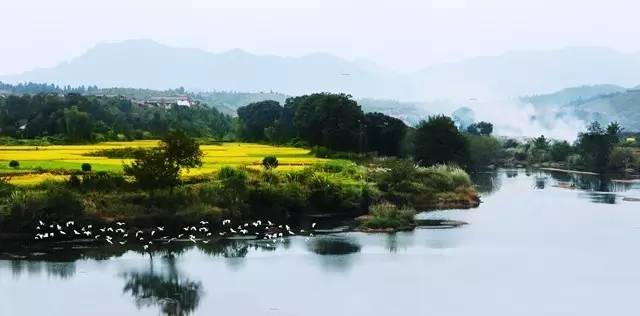 溯溪探险浏阳,浏阳旅游十大必去景区排名