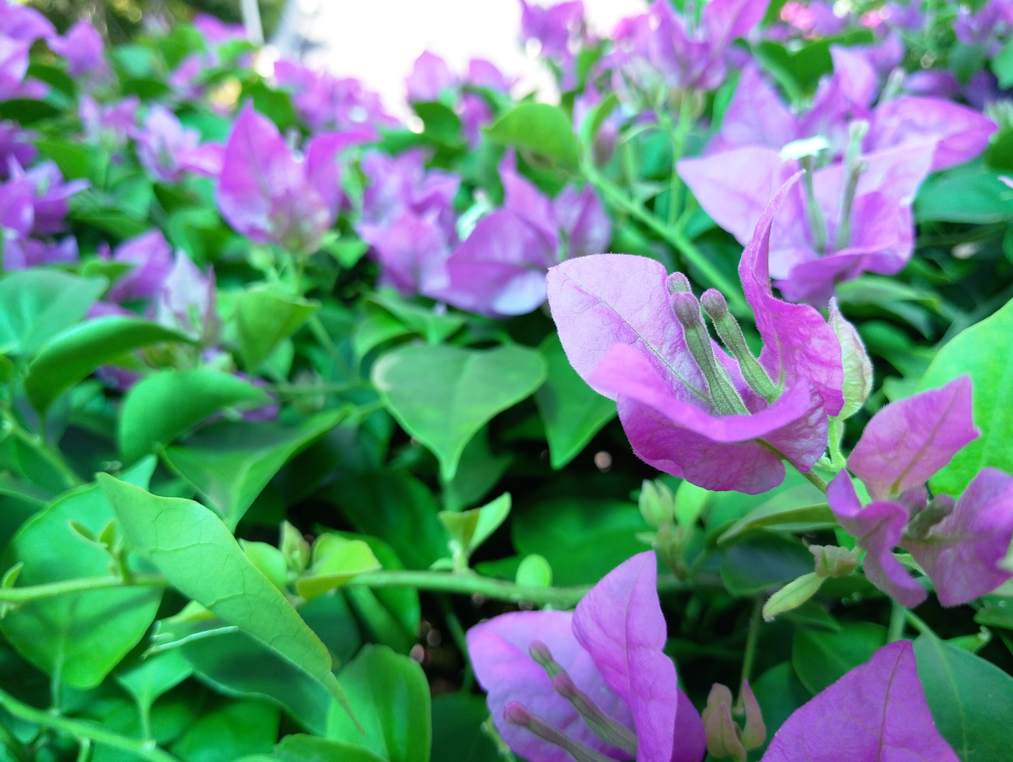 mx6到底值不值得购买,mx6的优缺点