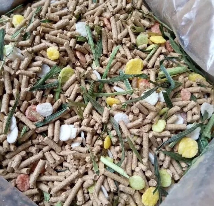 在家养兔子怎么自己做笼子,想养兔子得怎么养才能养好