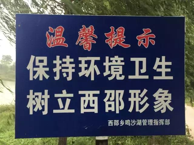 南乐西邵荷花池,南乐县西邵乡荷花池