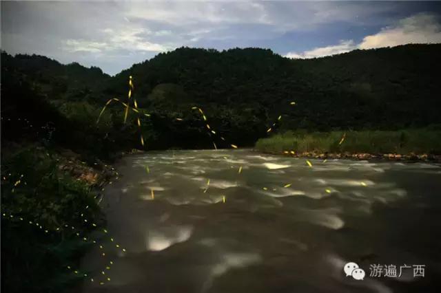 广西乐业出现神秘萤火之光，堪比美国大片！