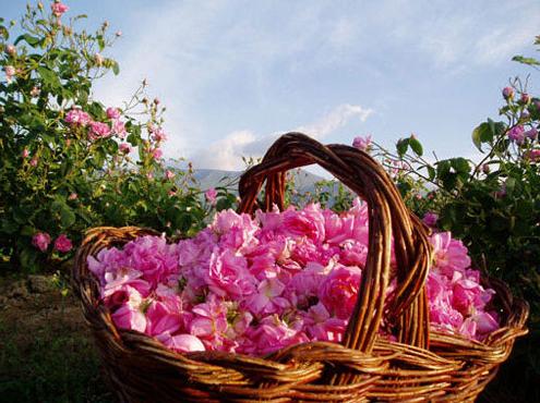 这个公然买卖美女的国家,引起了全世界单身汪的注意