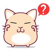 今天虹口足球场,久违了虹口足球场