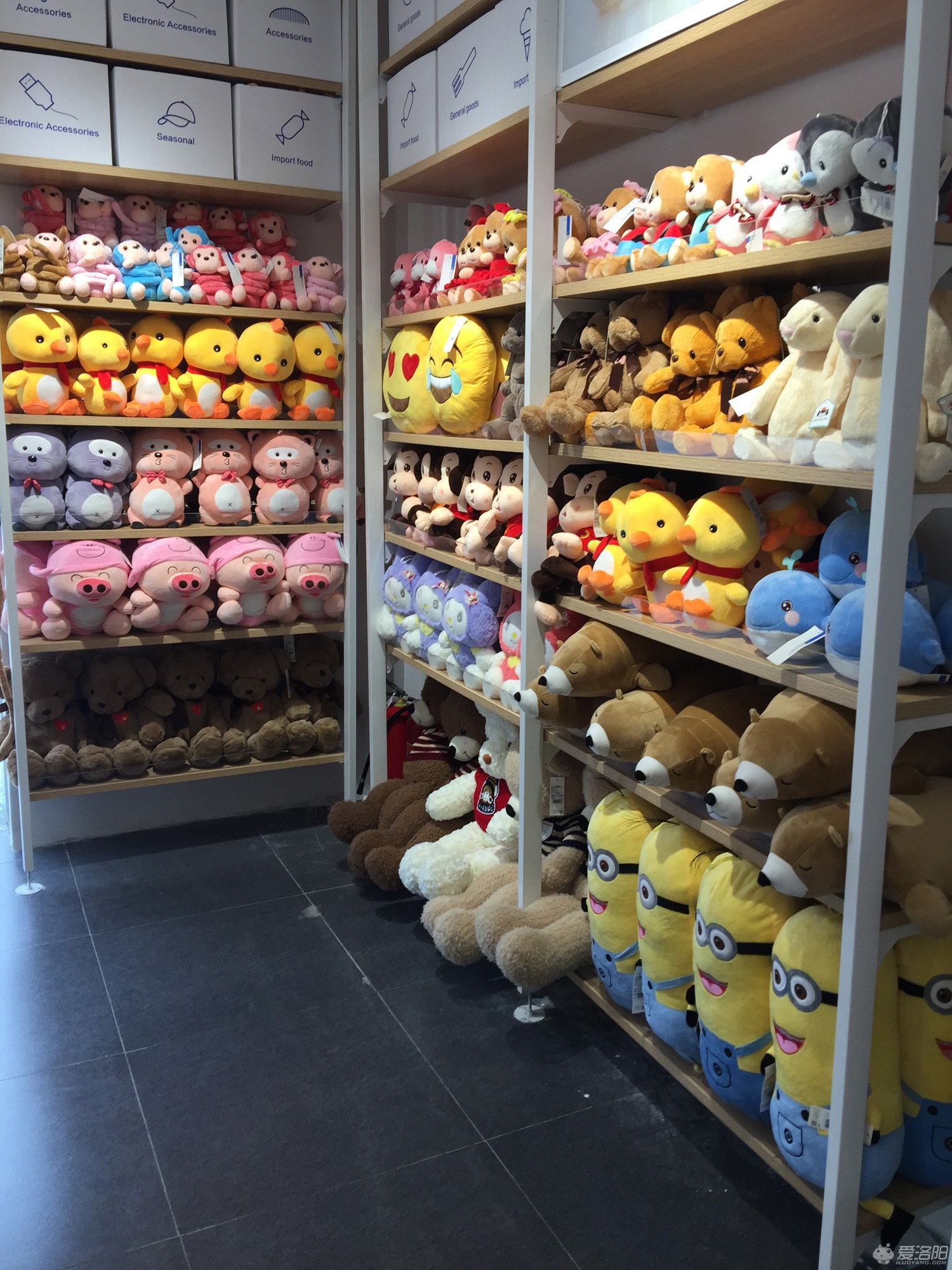 洛阳这些好看不贵的家居饰品店，撩拨你的少女心~