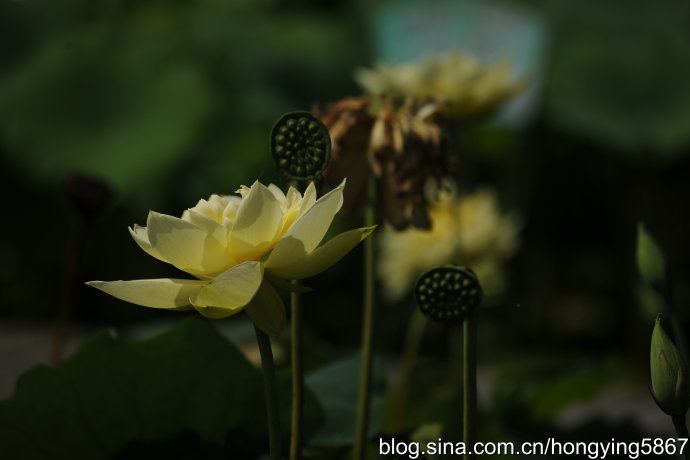 三明建宁：曾经软禁过二战谍报奇才的闽北小城