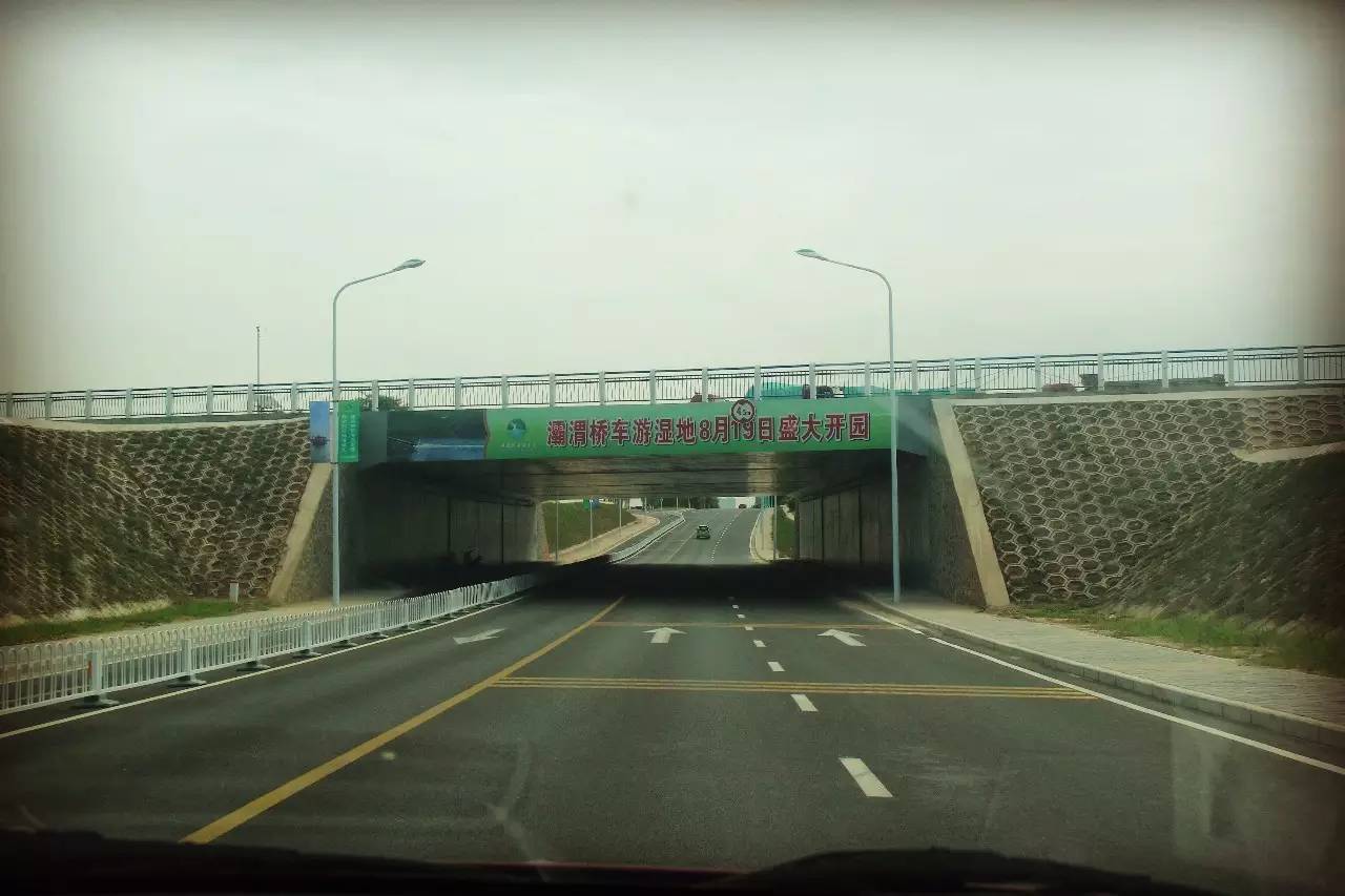 灞渭车游湿地公园价格,西安灞渭车桥湿地免费不