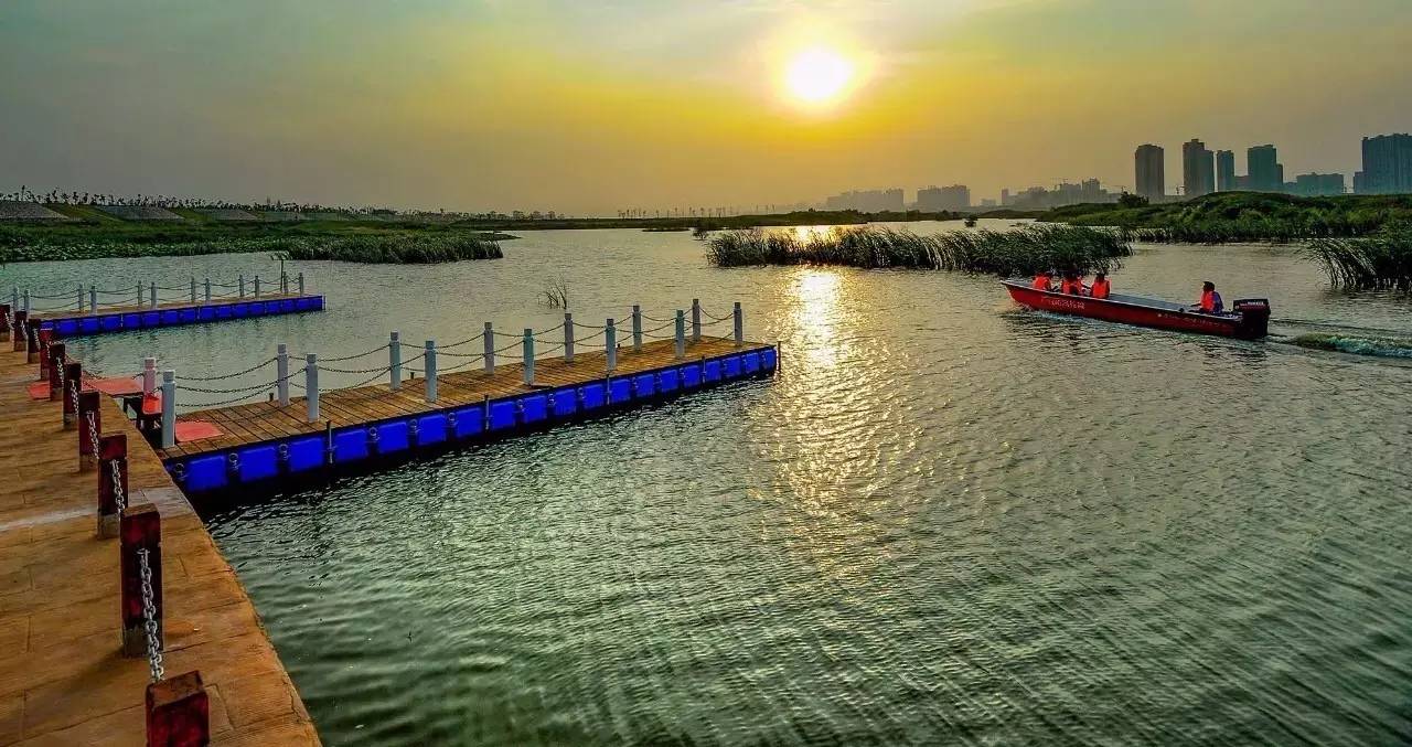 灞渭车游湿地公园价格,西安灞渭车桥湿地免费不