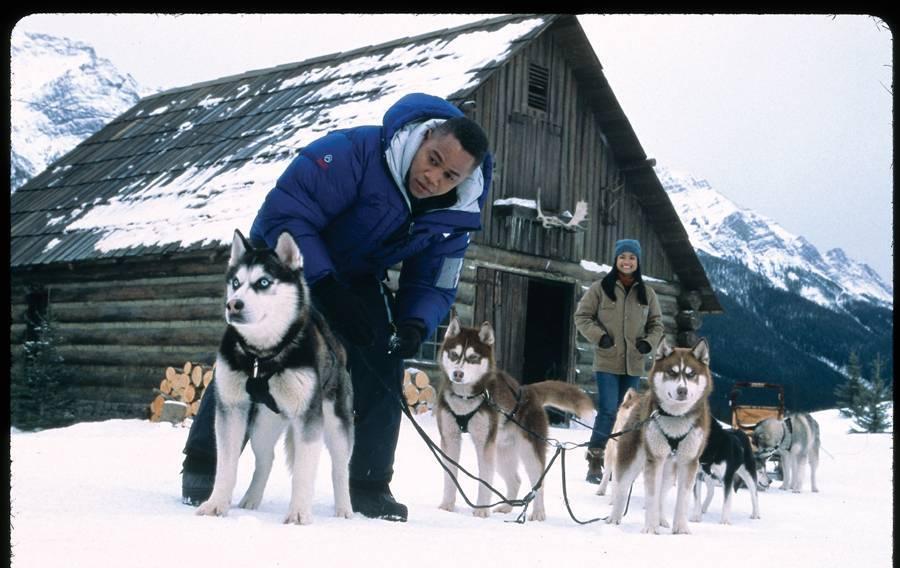 关于狗狗几部感人的电影,关于狗狗的感动且好看的电影