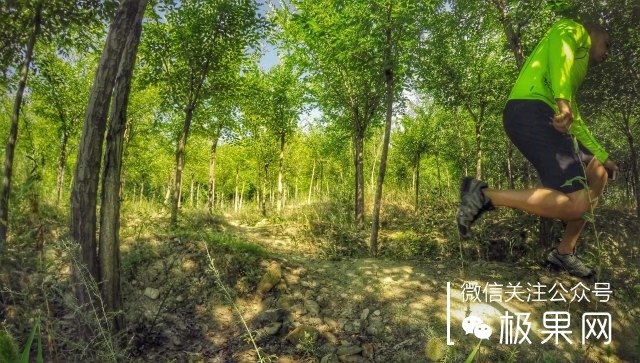 如何选择一双越野跑鞋,越野跑穿的跑鞋