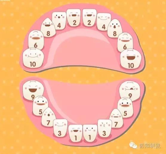 宝宝长牙时间和顺序视频,宝宝长牙时间视频