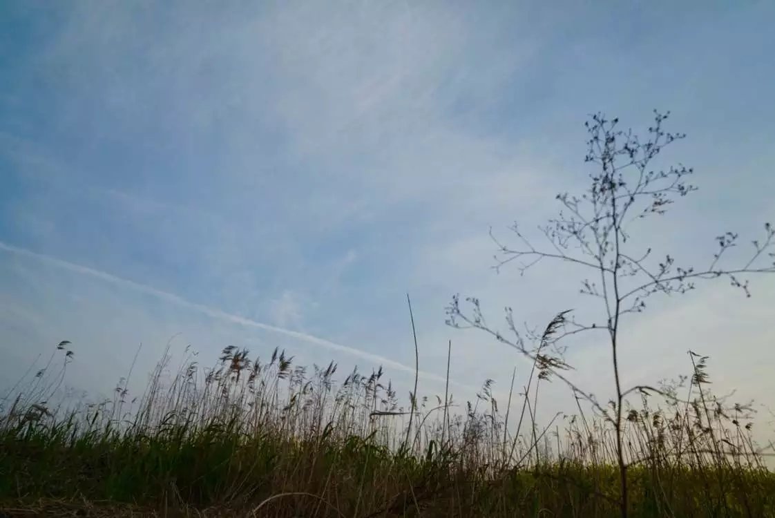 如果微博被盗，你会采取什么措施？