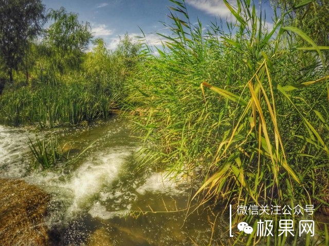 如何选择一双越野跑鞋,越野跑穿的跑鞋