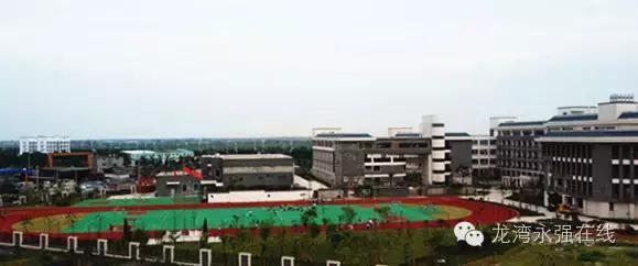 龙湾区有什么学校,龙湾公立学校排名