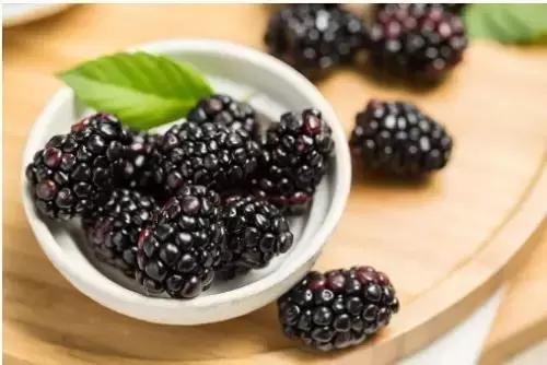 莓类营养价值及功效,野莓的功效及禁忌
