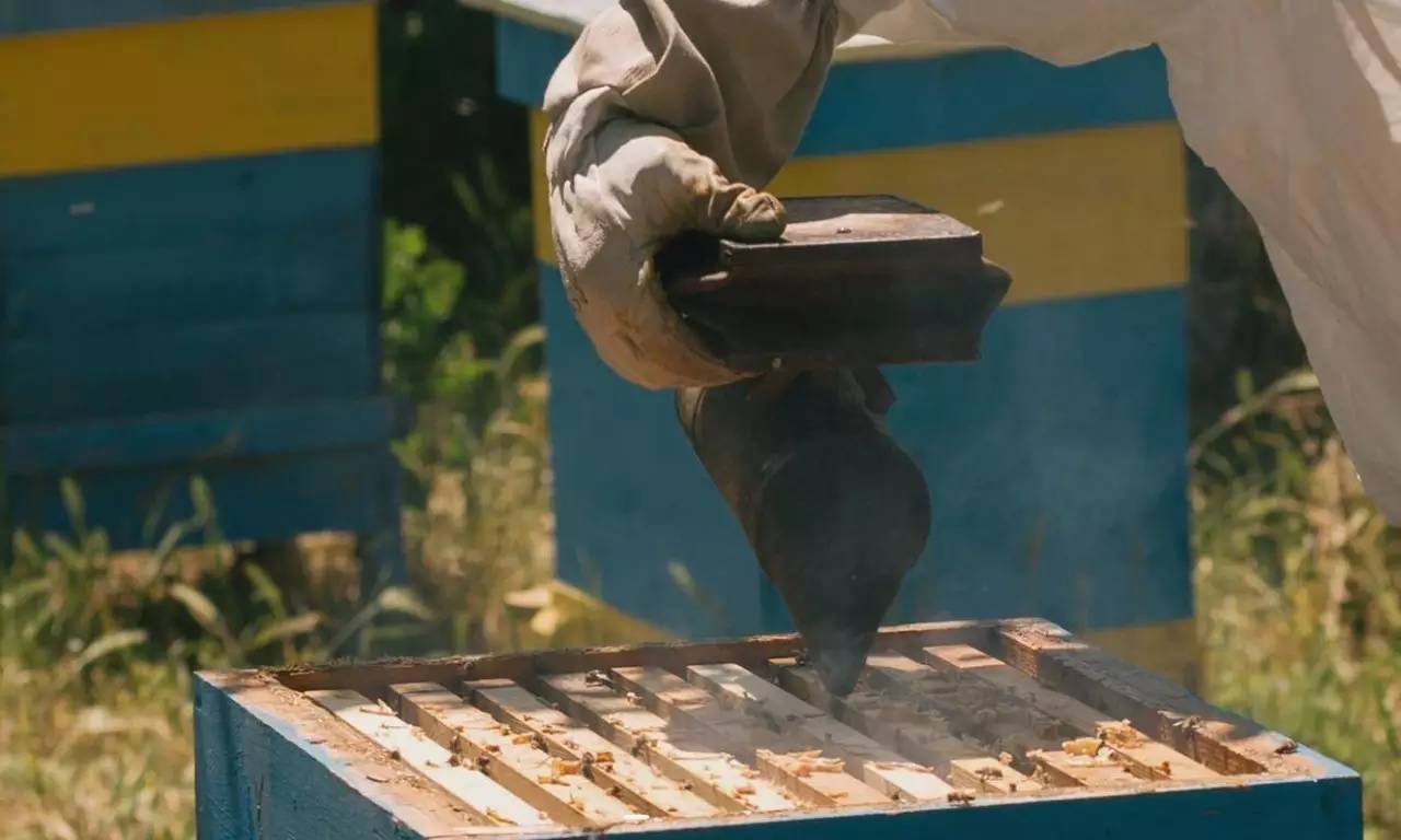 老中医蜂蜜系列,老中医秘制蜂蜜