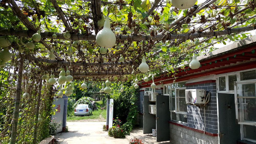 乐亭碧海渔家,乐亭碧海渔家怎么样