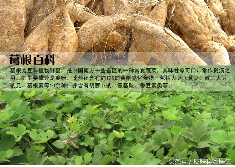 喝补肝肾的中药能喝酒吗,祛湿的中药对肝和肾伤害大吗