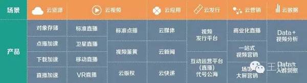 “新物种”乐视云：一年考成绩单下的生猛进化