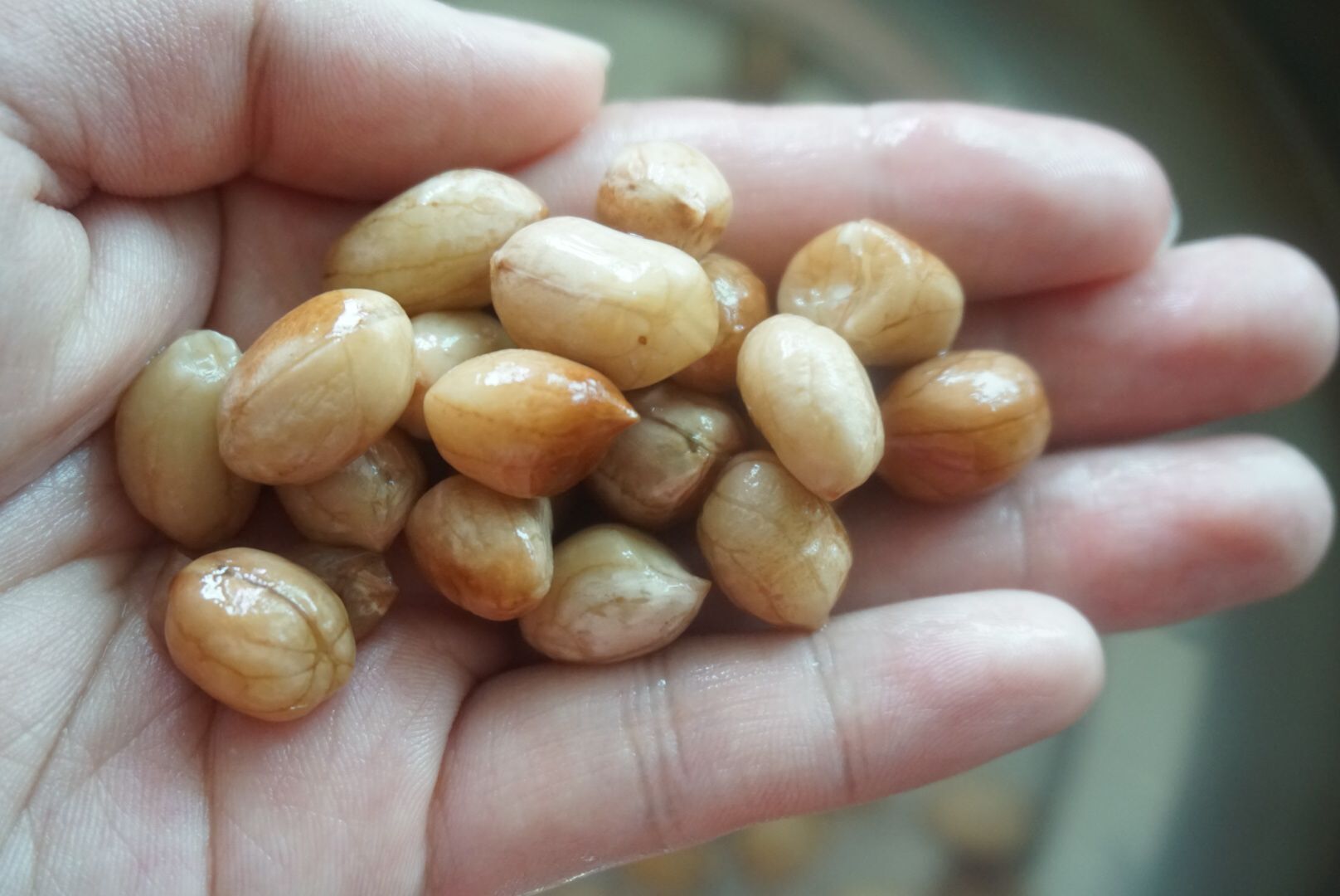 你在苍蝇馆子喝到的醇香又爽滑的花生露，咱在家用两元就能做一锅