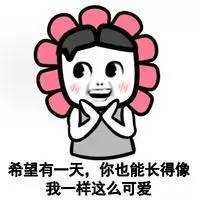 娶个重庆妹儿真实感受,娶一个重庆老婆的利弊