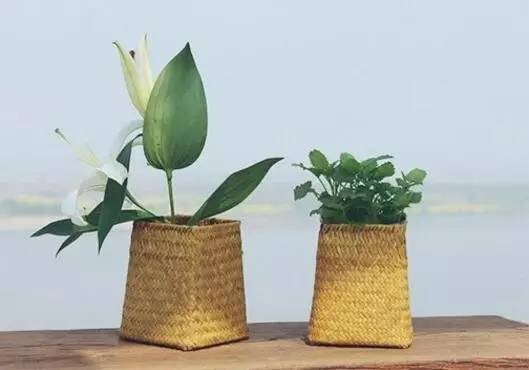 花小钱办大事为客厅“整容”的11件物品