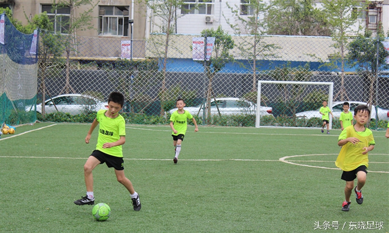 东晓足球,临沂绿荫足球俱乐部电话