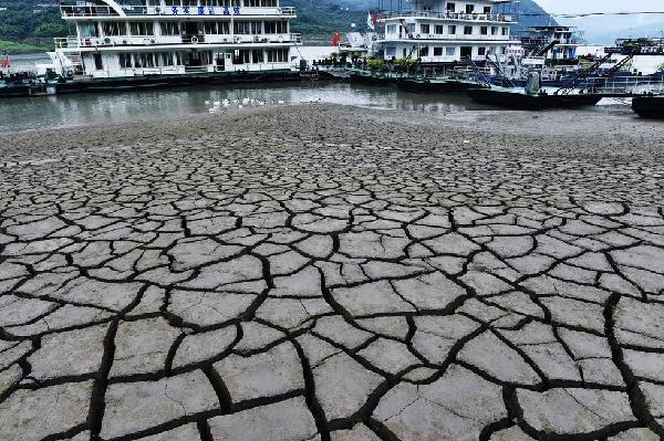 徐玉玉案最新报告,徐玉玉案最新进程