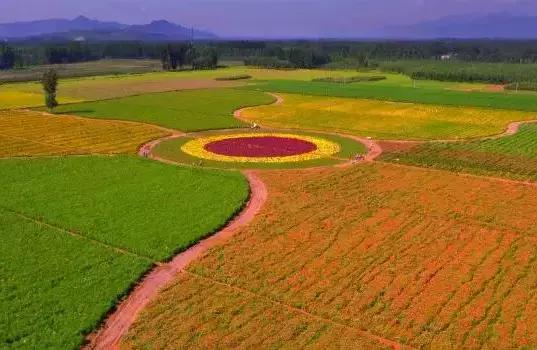 保定周边免费看红叶最佳旅游地点,保定周边一日游看红叶自驾游