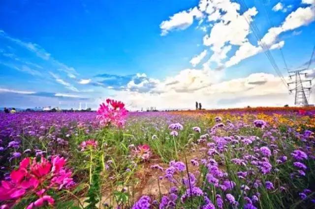 山西身份证为什么是14开头,山西身份证14开头