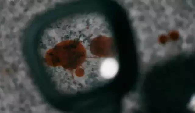 比白银大案还大的案件,白银案的真实事件电影