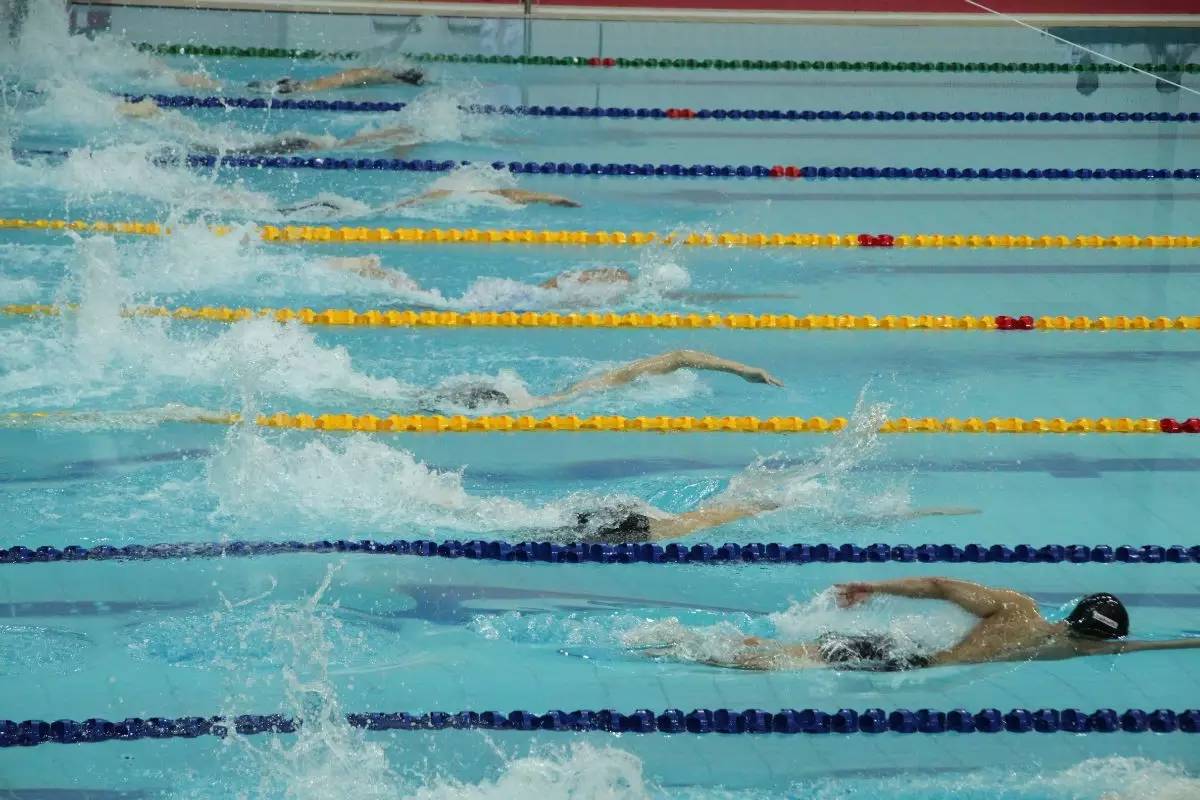 同是运动员但项目不同,各种运动员体型对比图