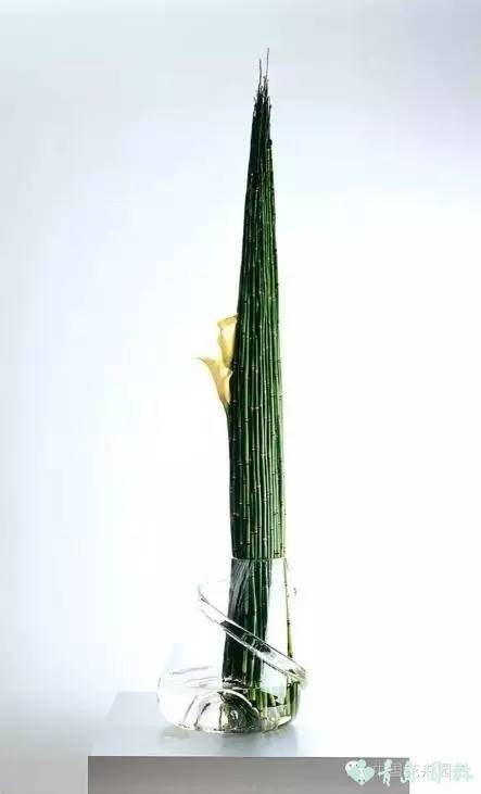 丹尼尔奥斯特花艺馆,丹尼尔花艺作品