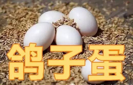 今天处暑,今天处暑节气