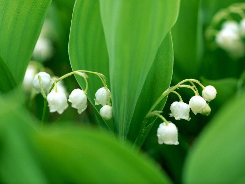 宫颈肥大会导致不孕？听听妇科医生怎么说！