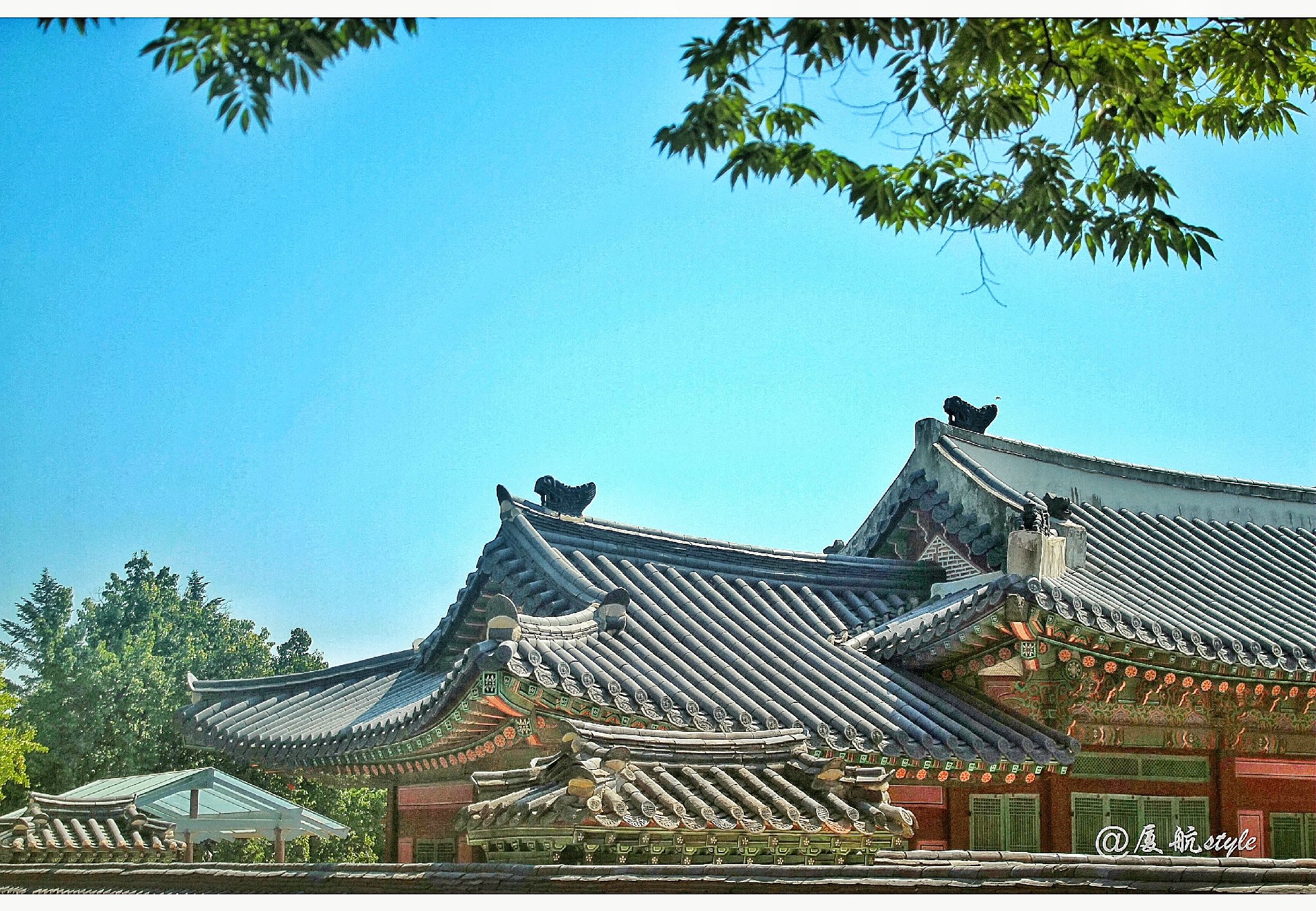 新罗免税店济州店攻略,新罗免税店有什么值得买的